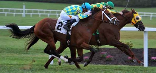 Bet on the Kentucky Turf Cup