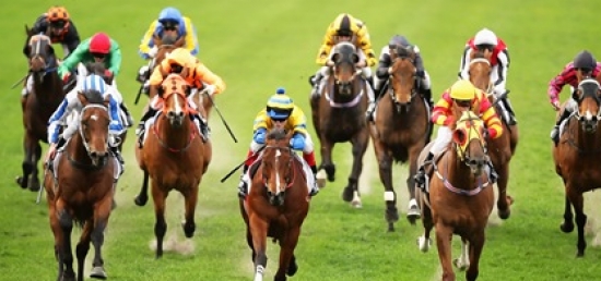 Bet on the Wise Dan Stakes