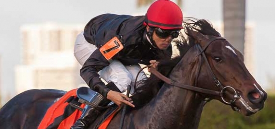 $200,000 Knickerbocker Stakes Draws Competitive Field of Eleven
