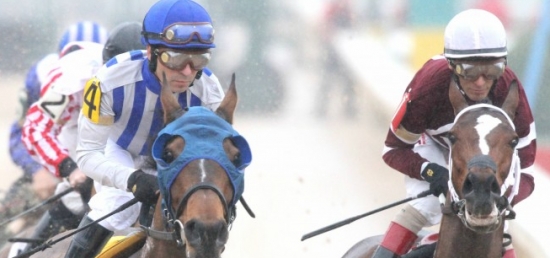 $500,000 Prince of Wales Worth Betting on Tuesday