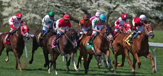 Keeneland Kicks Off Spring Meet with $100,000 Transylvania Stakes