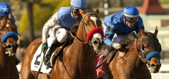 Wide-Open Grade 2 San Antonio Features Eight Veterans