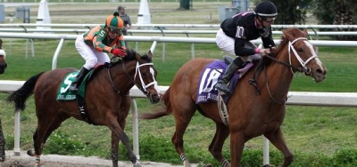 $100,000 Millions Preview Classic Headlines Stakes Fest at Gulfstream West