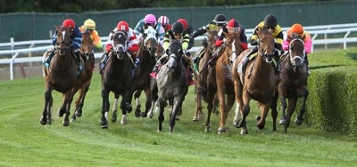 $200,000 Miss Grillo Stakes Draws International Field of Eleven