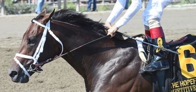 $200,000 Yellow Ribbon Stakes Draws International Field of Eleven