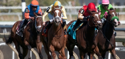 Ageless Seeking a Repeat in $150,000 Royal North Stakes