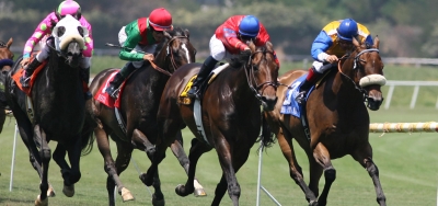 Button Down (GB) Headlines Wide Open Field for $100,000 Cardinal Handicap