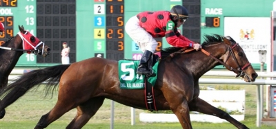Chocolate Ride Looks for a Repeat in $125,000 Fair Grounds Handicap