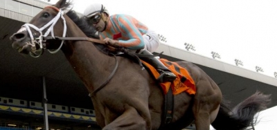 Conquest Daddyo Makes Sophomore Debut in $100,000 Kitten's Joy Stakes