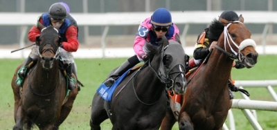 De La Rose Stakes Offers Excellent Betting Opportunity