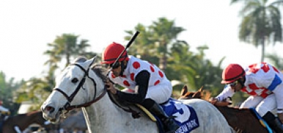 Excellent Betting Opportunities in Grade 2 Ft. Lauderdale
