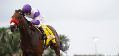 Field Taking Shape for $1.5 Million Preakness Stakes at Pimlico