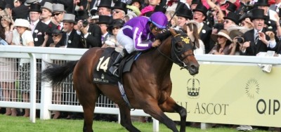 Full Field of Fourteen Set for $1 Million Breeders' Cup Juvenile Turf