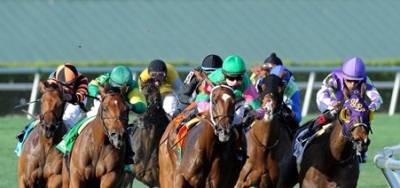 Full Field Ready for $60,000 Captiva Stakes
