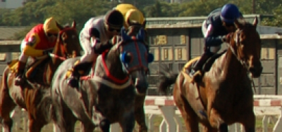 Lady Finger Stakes Offers Contentious Betting Opportunity