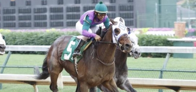 Pair of Fillies Look Comfortable for Fleur de Lis Start