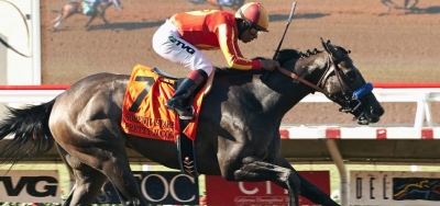 Pretty N Cool Cuts Back to a Sprint in $200,000 Santa Ynez Stakes