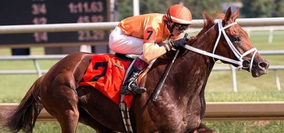 Sheer Drama and Curalina Clash in La Troienne
