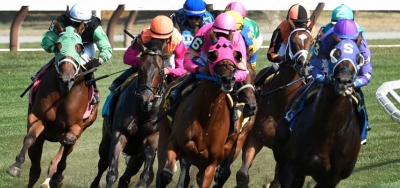 Shore Runner Seeking Fourth Straight Win in $100,000 Troy Stakes