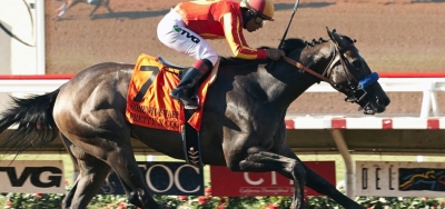Six Juvenile Fillies Set to Clash in $200,000 Matron Stakes